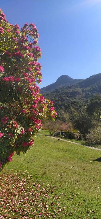 Residencial das Araucárias