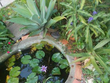 Pousada Revoada dos Papagaios