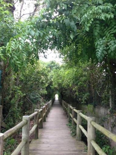 CASA 100 MTS DA PRAIA!