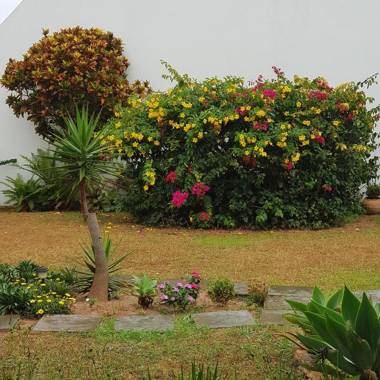 AP208-COND. IDP-INGLESES -2qto