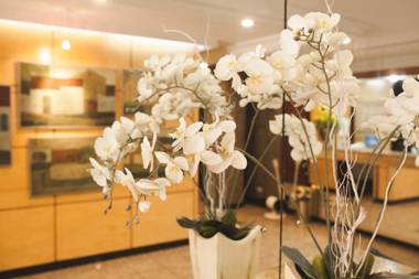 Curitiba Palace Hotel