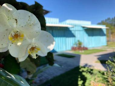 Mandala Pousada Container