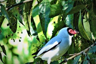 Hostel & Camping Jardim da Mata