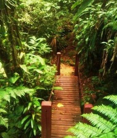 Hotel Bosques do Massaguaçu