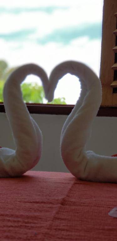 Pousada Morena Moleca