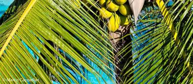 Hotel & Pousada Tatajuba