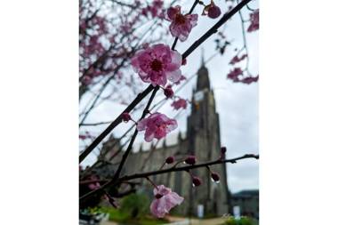 Apartamento Montenegro 1 quadra da Catedral