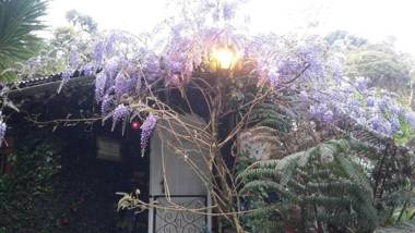 Pousada Uma Ilha Na Montanha