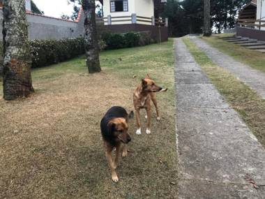 Chalés Toca dos Esquilos