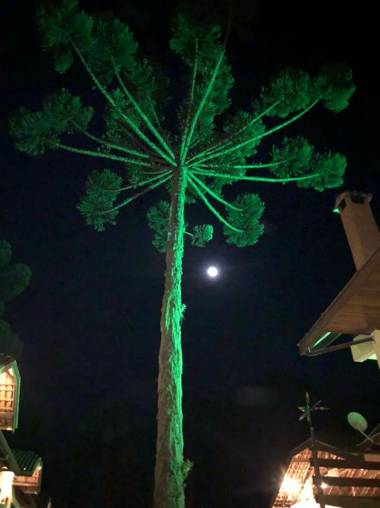 Chalés Toca dos Esquilos