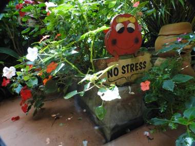 Pousada Recanto dos Passáros