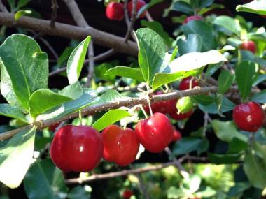 Pousada Recanto dos Passáros
