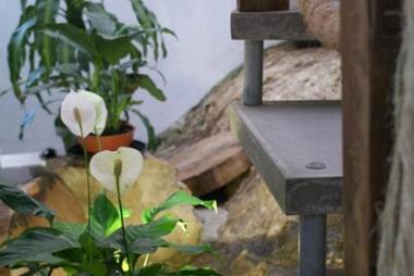 Pousada Casa da Pedra