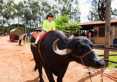 Barretos Country Thermas Resort