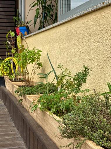 Suíte em Balneário Camboriú