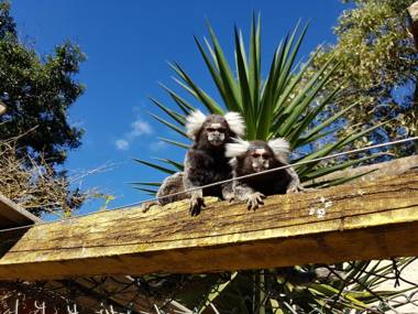 Estância Canaã Atibaia