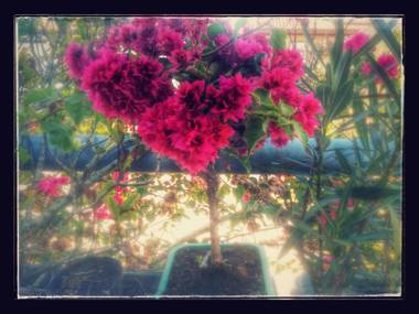 Pousada Repouso do Guerreiro