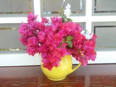 Pousada Repouso do Guerreiro