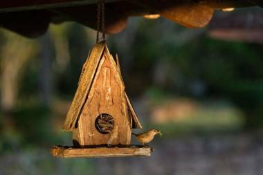 Hotel Fazenda Colibri