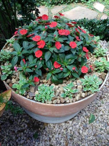 Eco Pousada Jardim do Eden