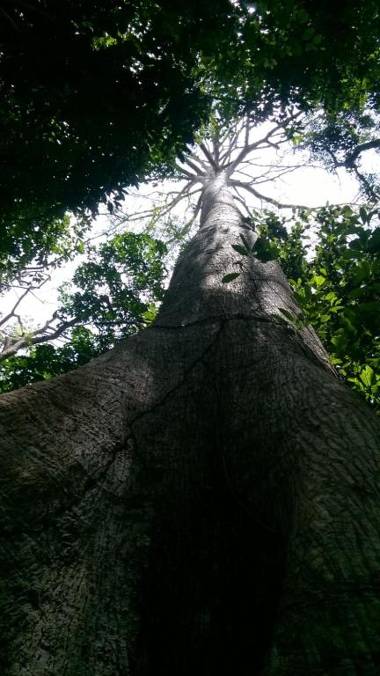 Pedra do Sol Pousada