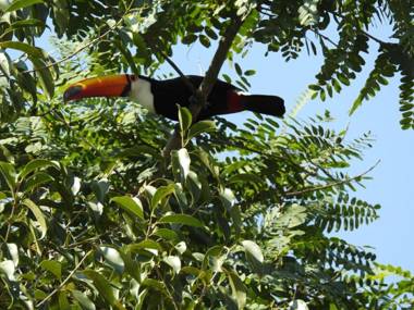 Estrela da Manhã Pousada no centro de Águas de São Pedro próximo ao Thermas