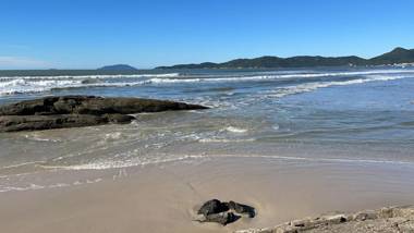 Czaritza Apart Hotel