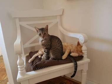 Solar das Artes Pousada Boutique - Morro