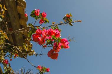 Pousada Morro das Palmeiras