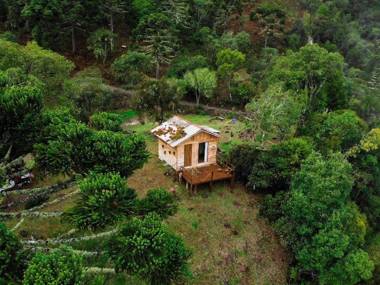 Refúgio das Araucárias