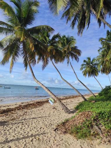 Pousada Sunshine - Praia do Patacho