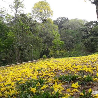 Condomínio Chalés Monte Suiço