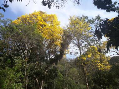 Condomínio Chalés Monte Suiço