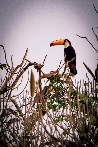 Parque Hotel Holambra