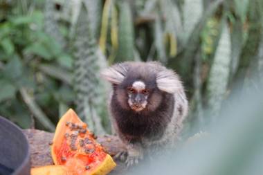 Parque Paraíso das Flores