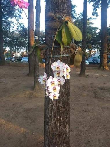 Hostel Rosa de Saron