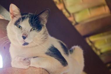 Tiô Isolda Artes & Hospedaria