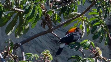 Pousada Grande Pedreira