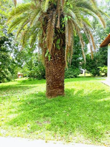 Eco Pousada Passaredo