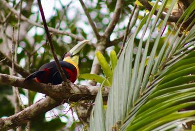 Chalé de Campo Silva