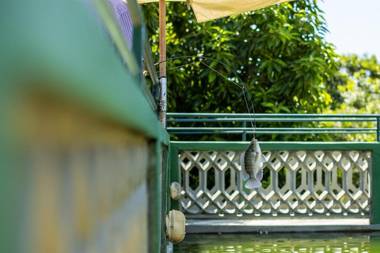 Parque Hotel Pimonte