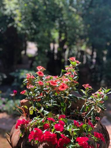 Villa da Serra Pousada