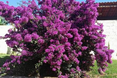 Pousada Vale das Primaveras