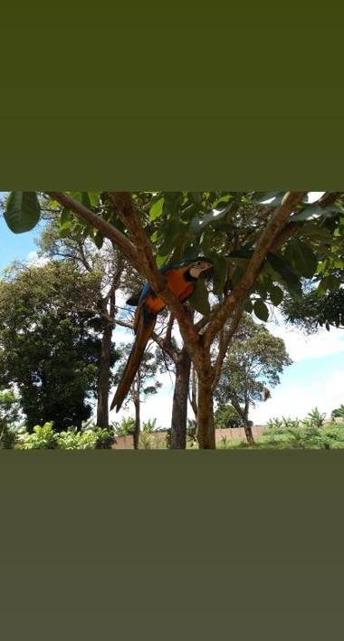 Pousada Café da Roça