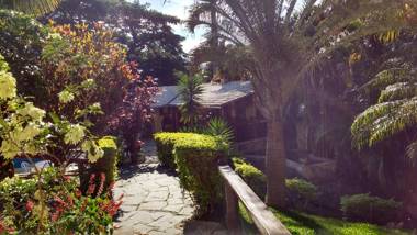 3 Palmeiras Guest Lounge