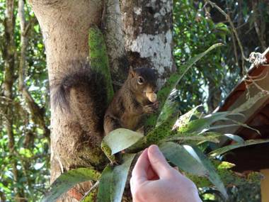 Pousada Chalé da Floresta