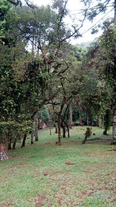 Casa Do Sol Nascente