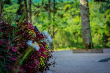 Pousada Recanto Tia Eni