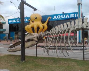 Apartamento Estúdio na Pitangueiras