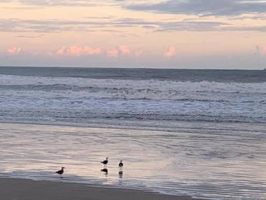 Apartamento Boutique Good Vibes